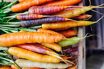 5 fruits & légumes à faire découvrir à vos enfants en janvier - la carotte