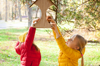 3 activités à faire avec les enfants en automne : fabriquer des nichoirs pour les oiseaux