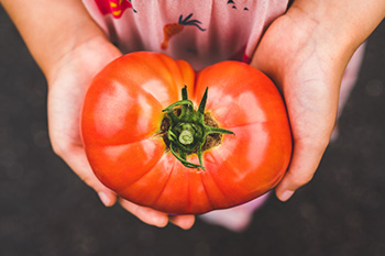 5 fruits et légumes à faire découvrir à vos enfants en août : la tomate
