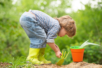 Des activités de printemps pour bébé et enfant : faire des semis